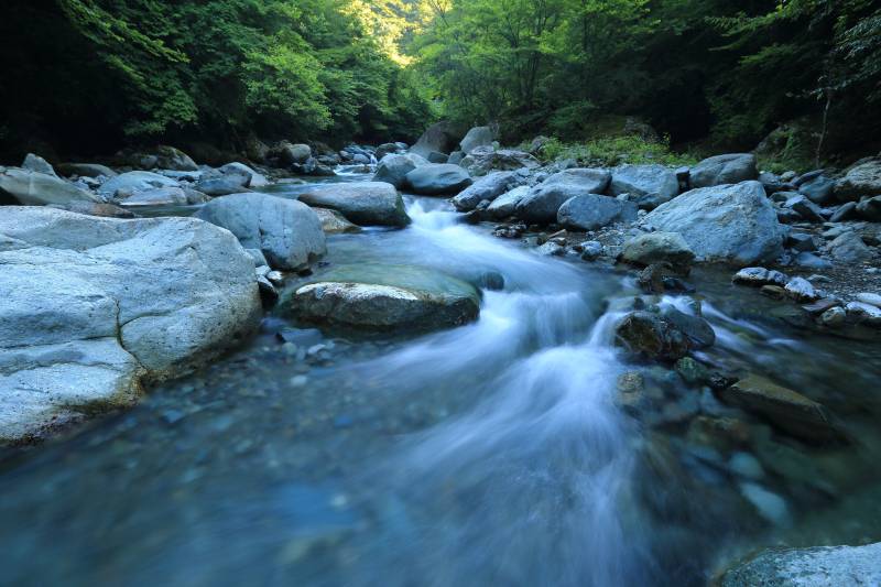 Foto de un rio